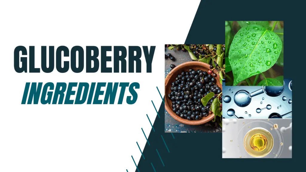 GlucoBerry Ingredients